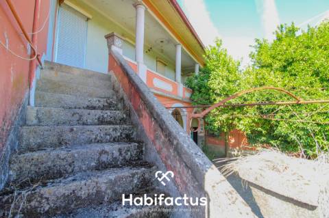 Quinta T6 de 1945 em Sabugosa - Tondela