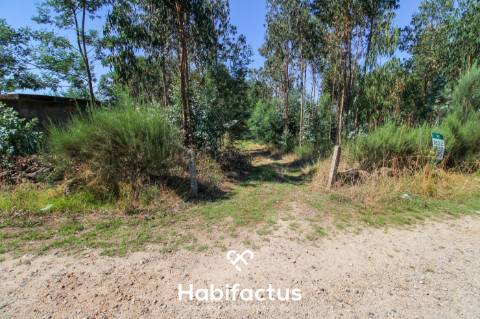 A apenas 5 minutos do centro de Tondela