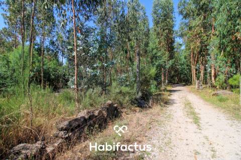 A apenas 5 minutos do centro de Tondela
