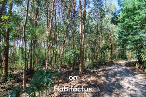 A apenas 5 minutos do centro de Tondela