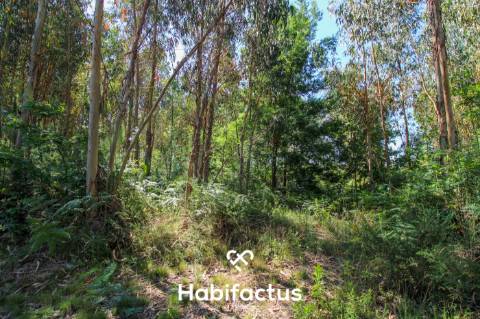 A apenas 5 minutos do centro de Tondela