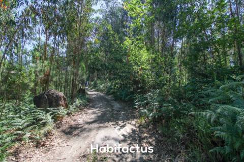 A apenas 5 minutos do centro de Tondela