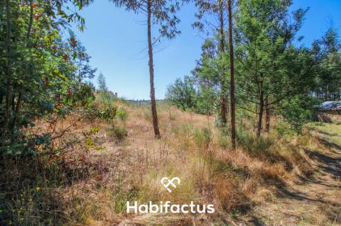 A apenas 5 minutos do centro de Tondela