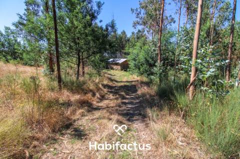 A apenas 5 minutos do centro de Tondela