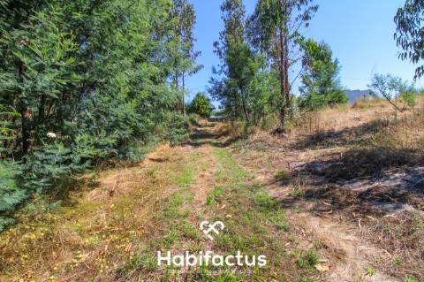 A apenas 5 minutos do centro de Tondela