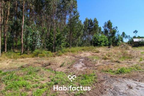 A apenas 5 minutos do centro de Tondela