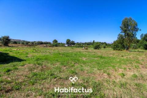 A apenas 5 minutos do centro de Tondela