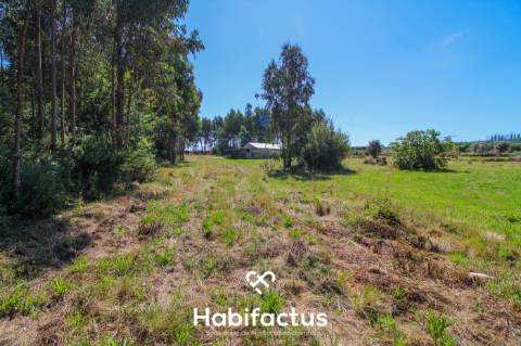 A apenas 5 minutos do centro de Tondela