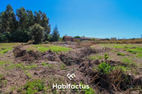 A apenas 5 minutos do centro de Tondela