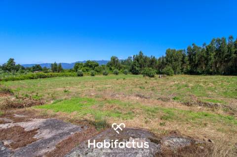 A apenas 5 minutos do centro de Tondela