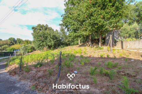 Terreno para Construção em Sabugosa – 1470m²