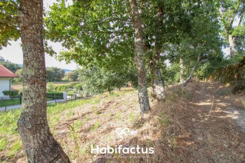 Terreno para Construção em Sabugosa – 1470m²