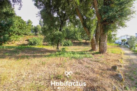 Terreno para Construção em Sabugosa – 1470m²
