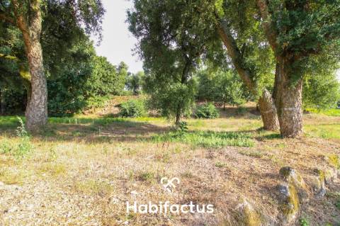 Terreno para Construção em Sabugosa – 1470m²