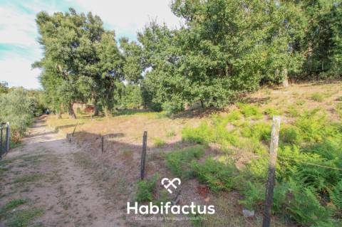 Terreno para Construção em Sabugosa – 1470m²