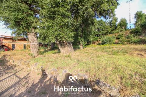 Terreno para Construção em Sabugosa – 1470m²