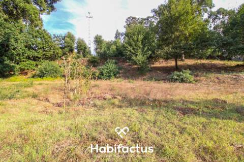 Terreno para Construção em Sabugosa – 1470m²