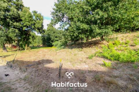 Terreno para Construção em Sabugosa – 1470m²