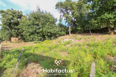Terreno para Construção em Sabugosa – 1470m²