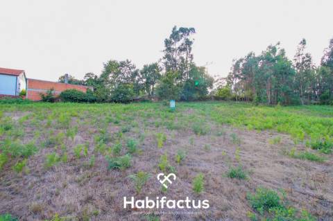 Terreno para Construção com 4720m² em Sabugosa – Ideal para Moradia Isolada ou Geminada