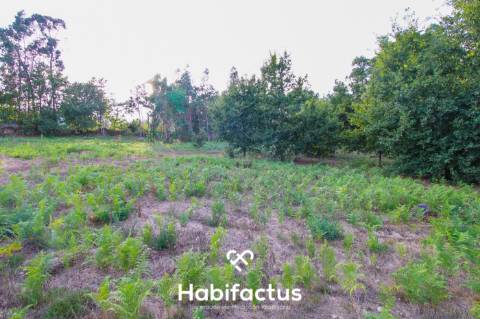 Terreno para Construção com 4720m² em Sabugosa – Ideal para Moradia Isolada ou Geminada