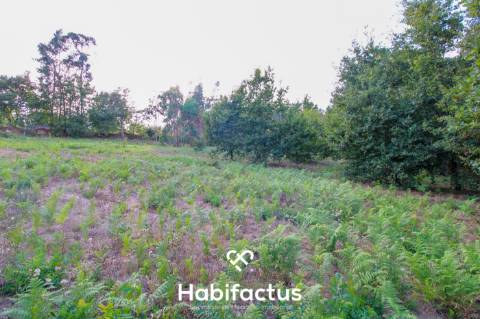 Terreno para Construção com 4720m² em Sabugosa – Ideal para Moradia Isolada ou Geminada