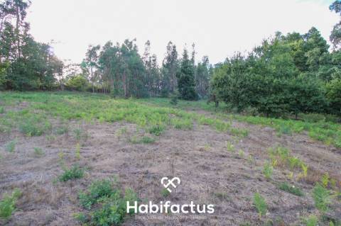 Terreno para Construção com 4720m² em Sabugosa – Ideal para Moradia Isolada ou Geminada