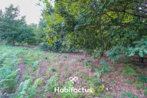 Terreno para Construção com 4720m² em Sabugosa – Ideal para Moradia Isolada ou Geminada