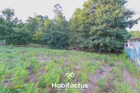 Terreno para Construção com 4720m² em Sabugosa – Ideal para Moradia Isolada ou Geminada