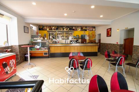 Moradia T5 com comércio em funcionamento em Canas de Santa Maria