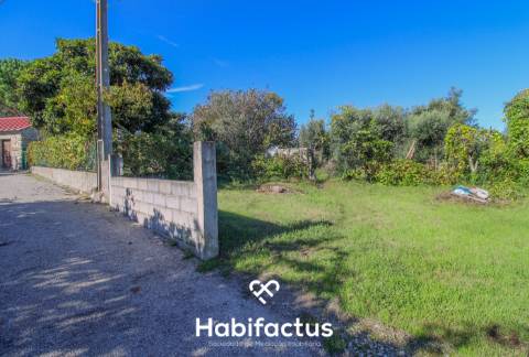 Terreno com viabilidade de construção 5 m do Centro do Carregal do Sal