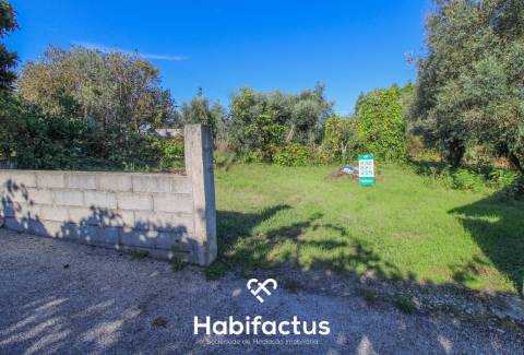 Terreno com viabilidade de construção 5 m do Centro do Carregal do Sal