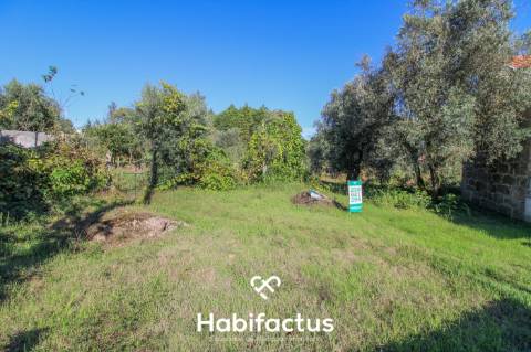 Terreno com viabilidade de construção 5 m do Centro do Carregal do Sal