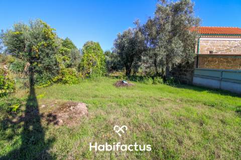 Terreno com viabilidade de construção 5 m do Centro do Carregal do Sal