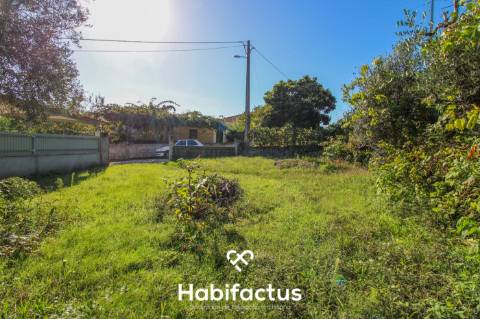 Terreno com viabilidade de construção 5 m do Centro do Carregal do Sal