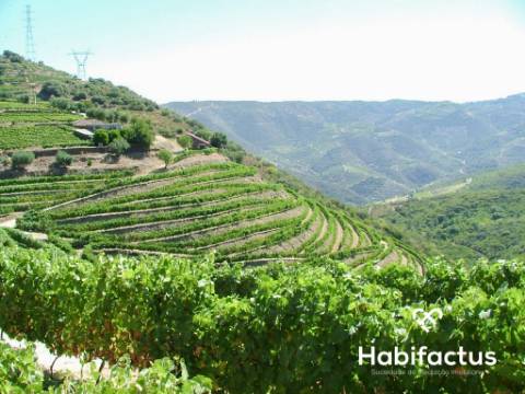 Quinta com vinha para venda no Douro