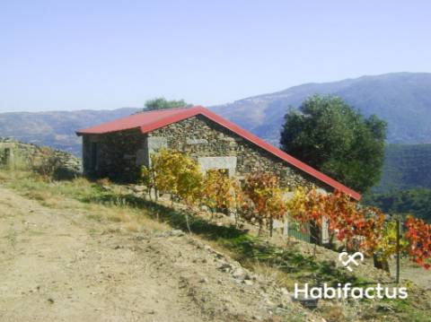 Quinta com vinha para venda no Douro