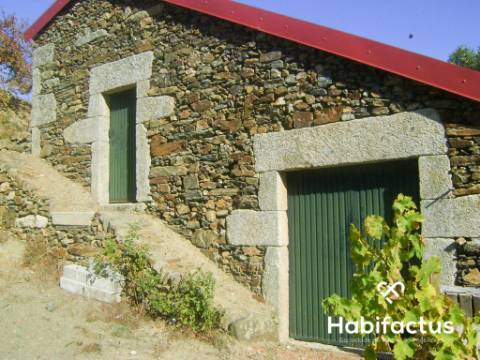 Quinta com vinha para venda no Douro