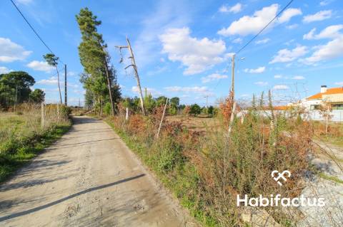 Terreno  Venda em São João de Lourosa,Viseu