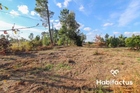 Terreno  Venda em São João de Lourosa,Viseu