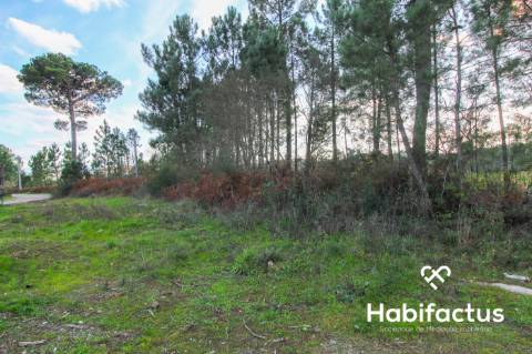 Terreno  Venda em São João de Lourosa,Viseu