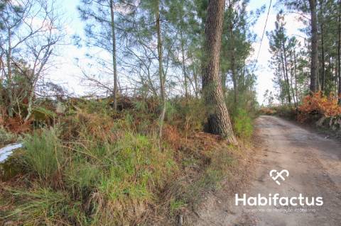Terreno  Venda em São João de Lourosa,Viseu