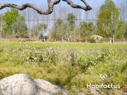 Terreno para construção em Viseu