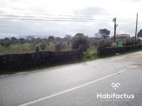 Terreno para construção em Nelas