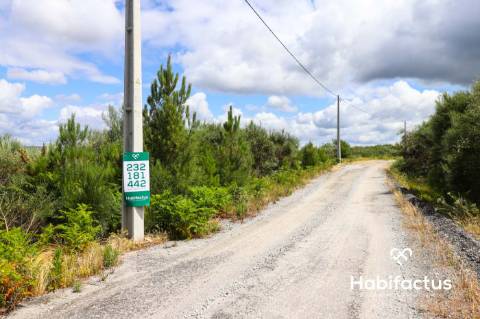 Terreno Rústico  Venda em Fornos de Maceira Dão,Mangualde