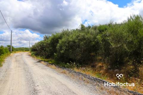Terreno Rústico  Venda em Fornos de Maceira Dão,Mangualde