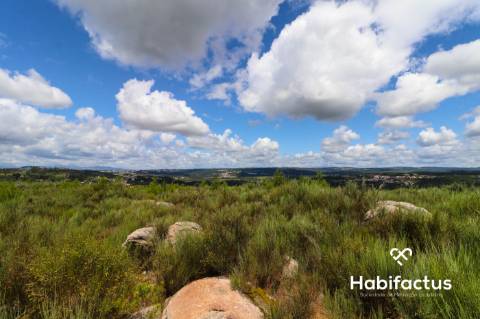 Terreno Rústico  Venda em Fornos de Maceira Dão,Mangualde