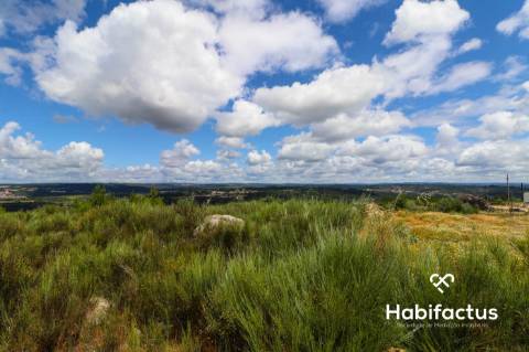 Terreno Rústico  Venda em Fornos de Maceira Dão,Mangualde