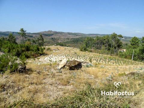 Quinta  Venda em Castelo de Penalva,Penalva do Castelo