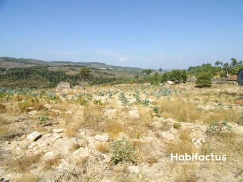 Quinta  Venda em Castelo de Penalva,Penalva do Castelo